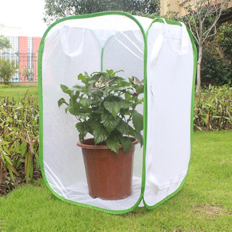 

Green Collapsible Insect Cage Mesh Insect Habitat Cage Butterfly Mantis Stick Breeding Zipper Cages Net Cloth