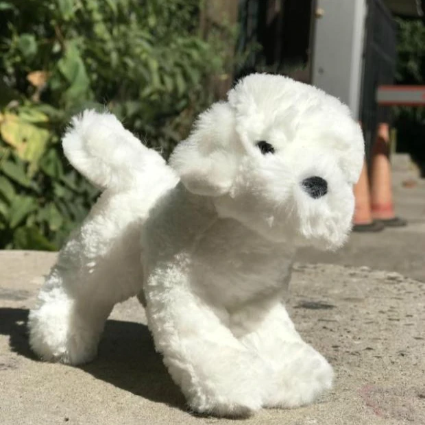 

small gift model toy doll cute white dog