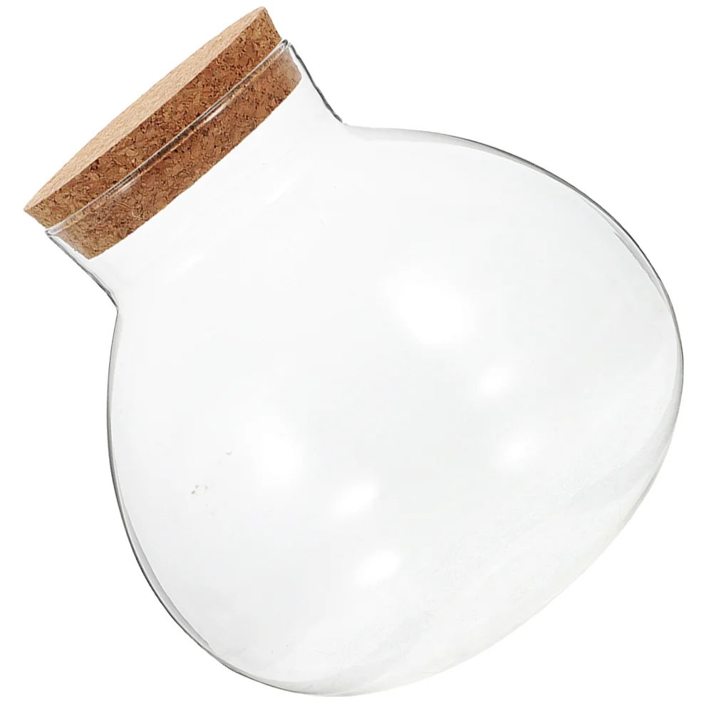 Дисплей для растений универсальный микроландшафтный пустой флакон домашний