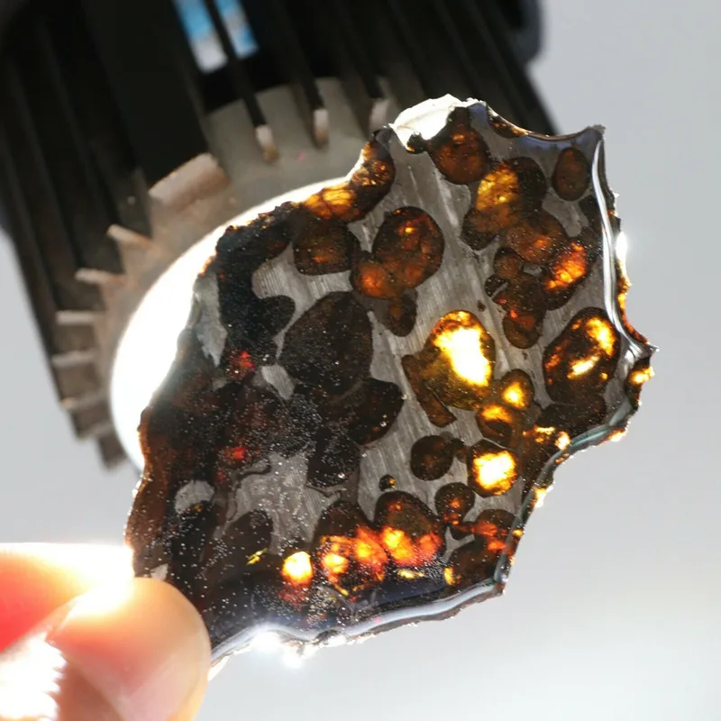 

19g piece of meteorite rare sliced Kenyan pallasite olive meteorite