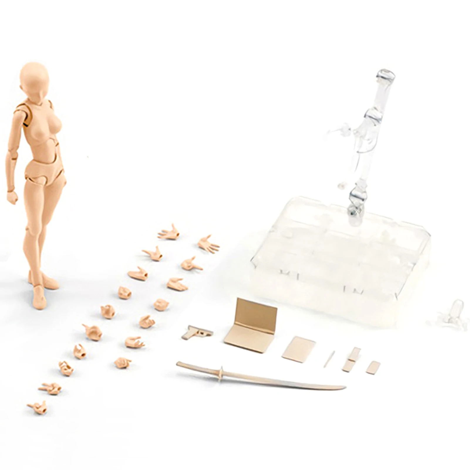 Набор Body Kun DX And Chan фигурок из ПВХ манекен для художников модель рисования SHF S H |