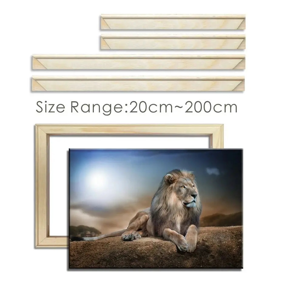 

30x40 40x50 50x70 60x90 Canvas Frame Wooden Frames Wooden Photo Oil Painting Canvas Diamond Painting Frames Canvas Wood Wall