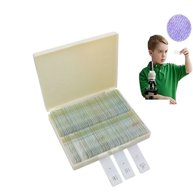 

Prepared Microscope Slides Plants Animal Insects Human Tissues Microscope Glass Slide Biological Specimen f Science Education