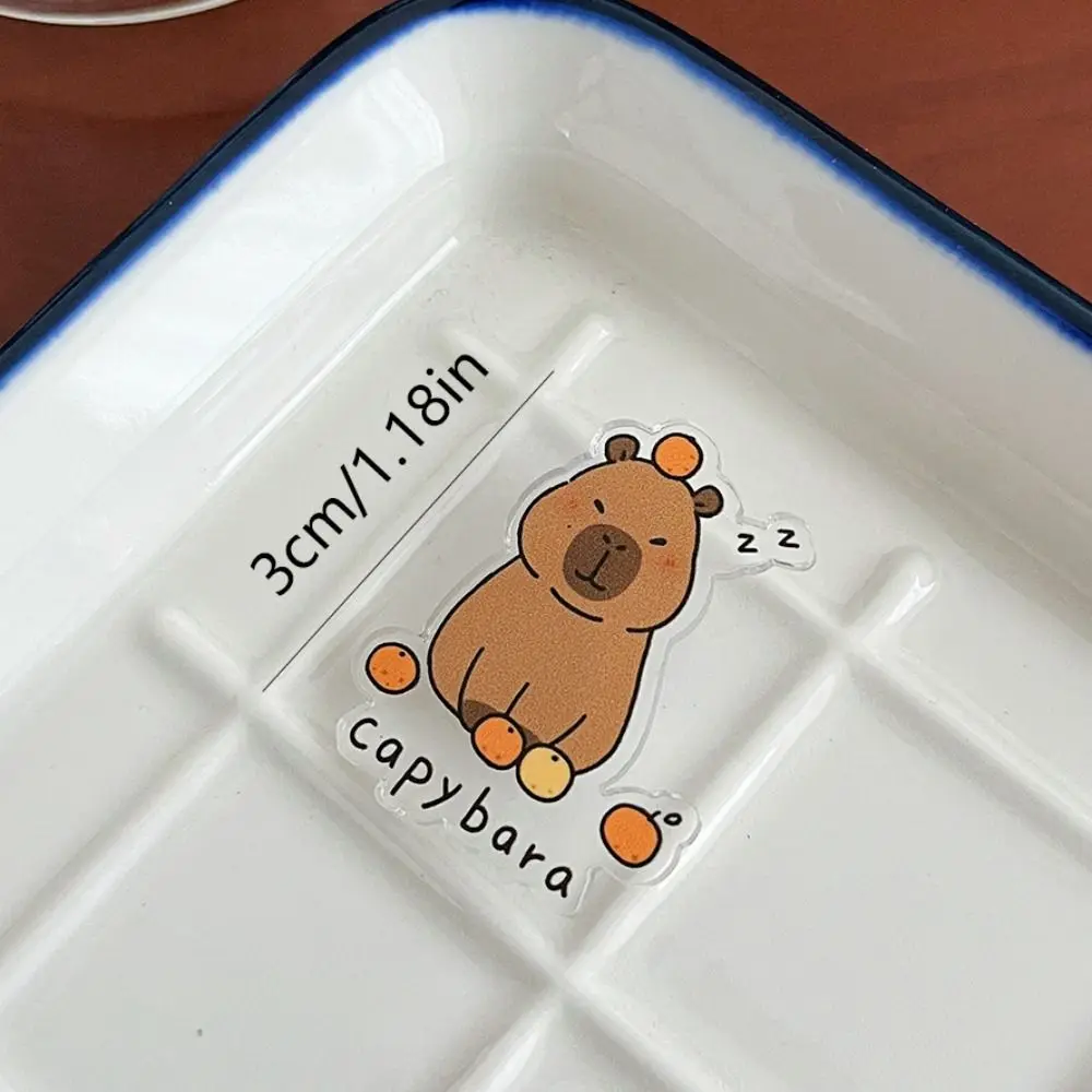 Ювелирные изделия акриловая булавка капибара милая забавная для девочек