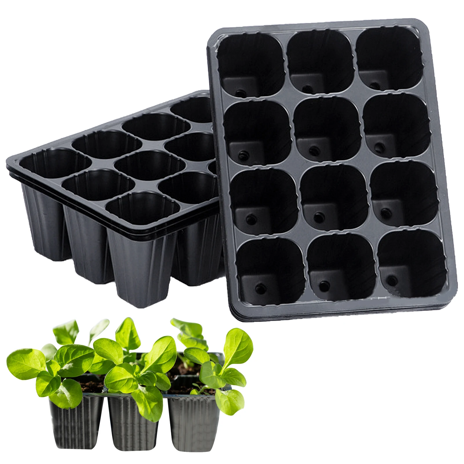 

Plant Cells Tray Germination Propagation Home 12 Succulent Seedling Vegetable Nursery Insert Container Cavity Garden 10pcs