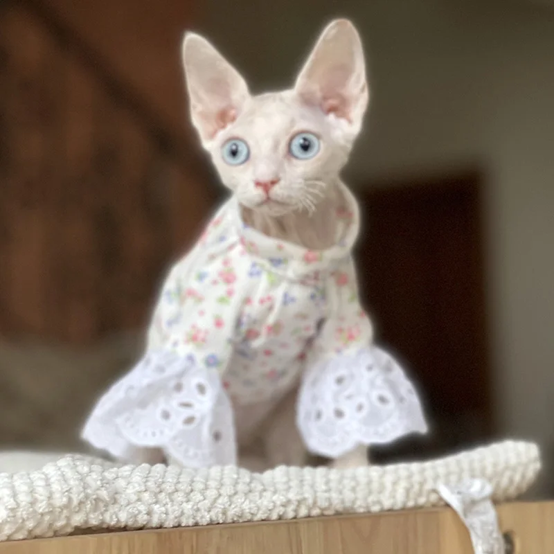 Hairless cat Clothes Devon Rex spring summer  Clothes for Cat floral vest embroidery lace Kitty Outfits Sphynx Cat Dresses