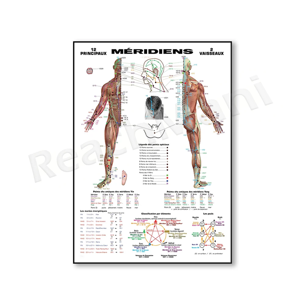 

Картина с китайским меридианом ReachMani