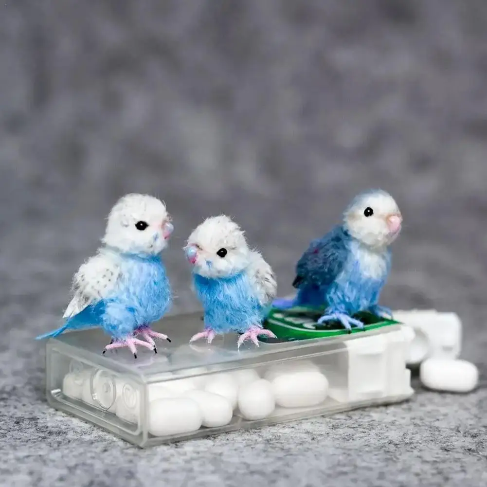 

Cute Little Birds Figures Miniature Landscape Resin Ornaments Fairy Garden Decoration Accessories Miniature Resin Crafts