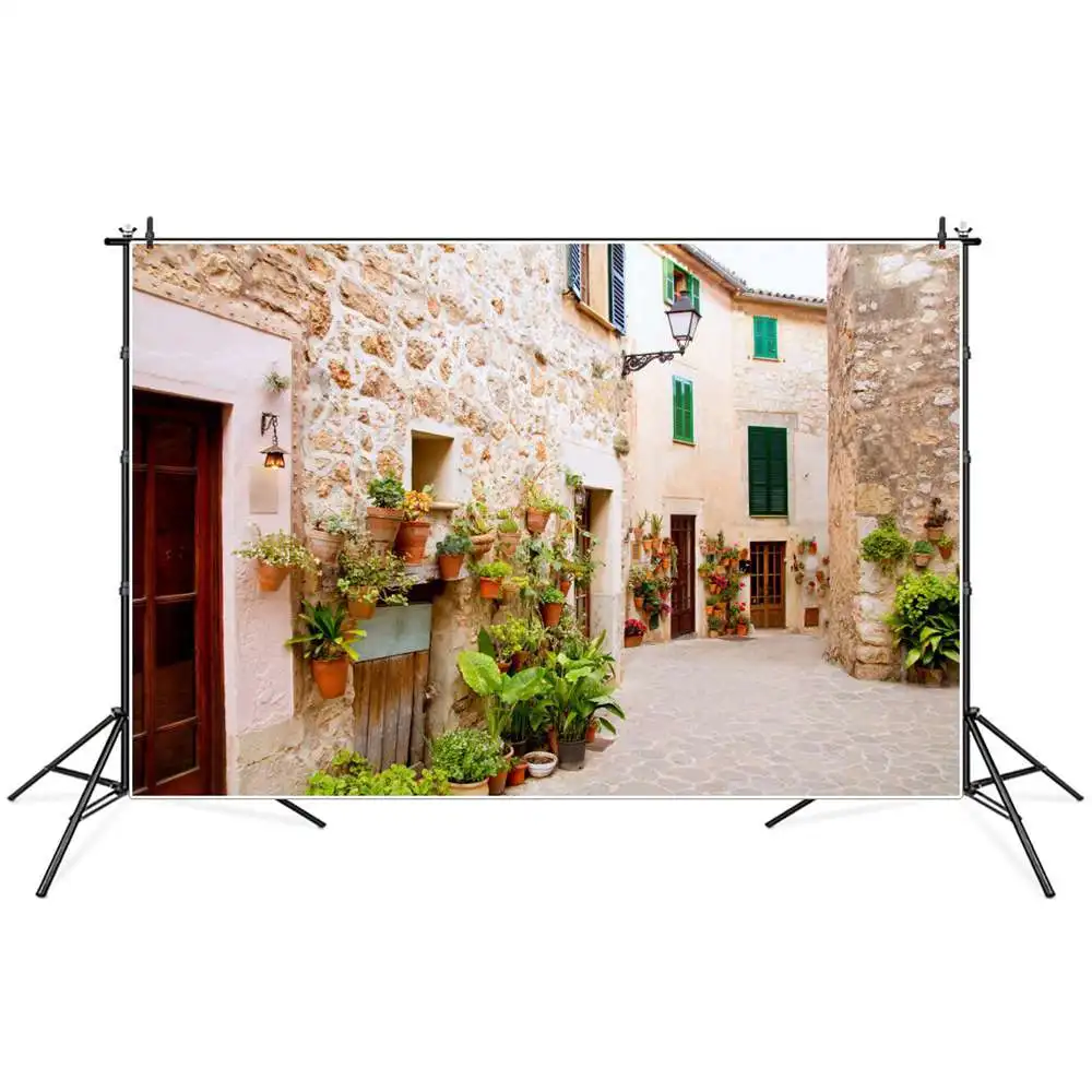 

Фон для фотосъемки с изображением Европейского города улицы дорожек под заказ зеленые горшки растений дома праздничные украшения для вече...