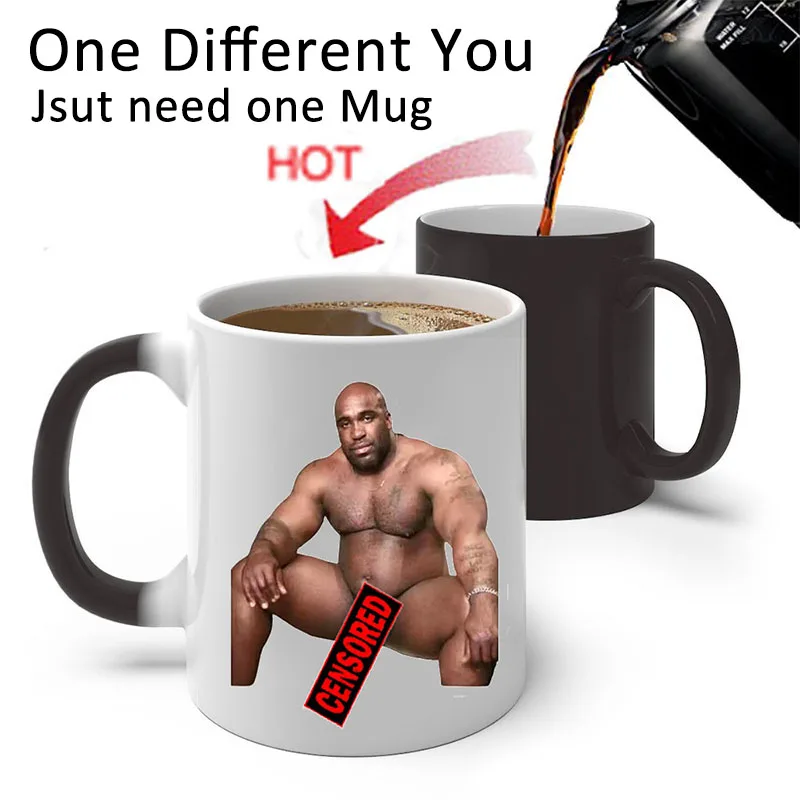 

Funny Gag Gifts for Men Women Coffee Mug Cup Message Appears as it Heats for Christmas Valentines Day Birthday Prank Office Joke