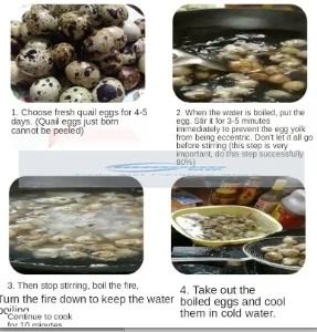 Онтаверwerp Hoge Efficiëntie Praktische Huishoudelijke Hand포 Kwarteleitje Dunschiller Machine Huller Sheller