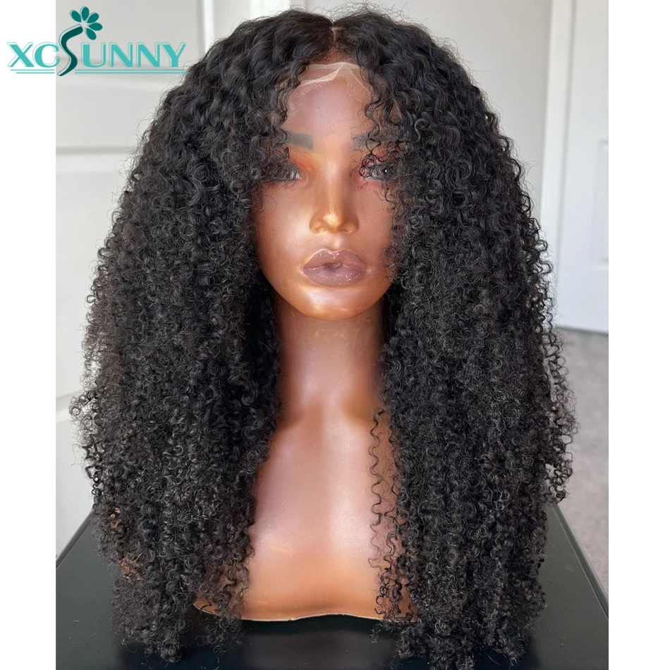 Kinky Curly Full Lace Wig HD Transparent Lace frontal Wigs Human Hair Curly 13x6 Lace Front Wig Pre Plucked Brazilian xcsunny