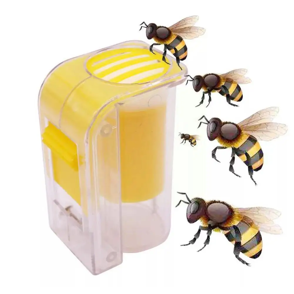 

2022 Bee Queen маркер для бутылки Bee Mark Cage, Пластиковый садовый Плунжер для пчеловодства, ручная маркировка с ловцом, плюшевые принадлежности G1S9