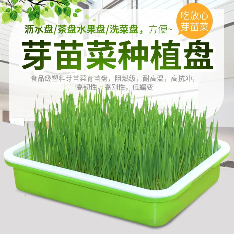 

Лоток для выращивания растений гидропонный, лоток для рассады овощей, лоток для посадки семян, для выращивания семян без земли