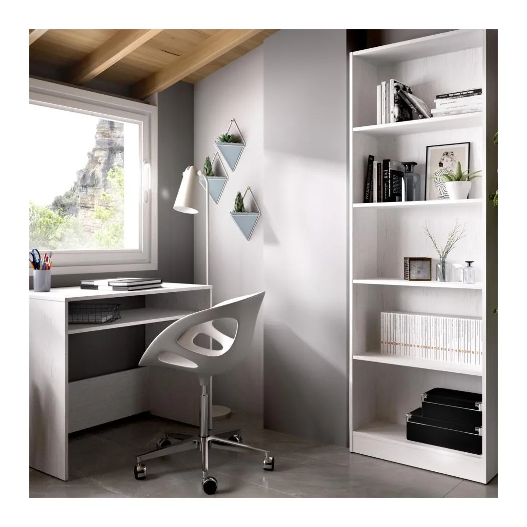 Bookcase White Biter |