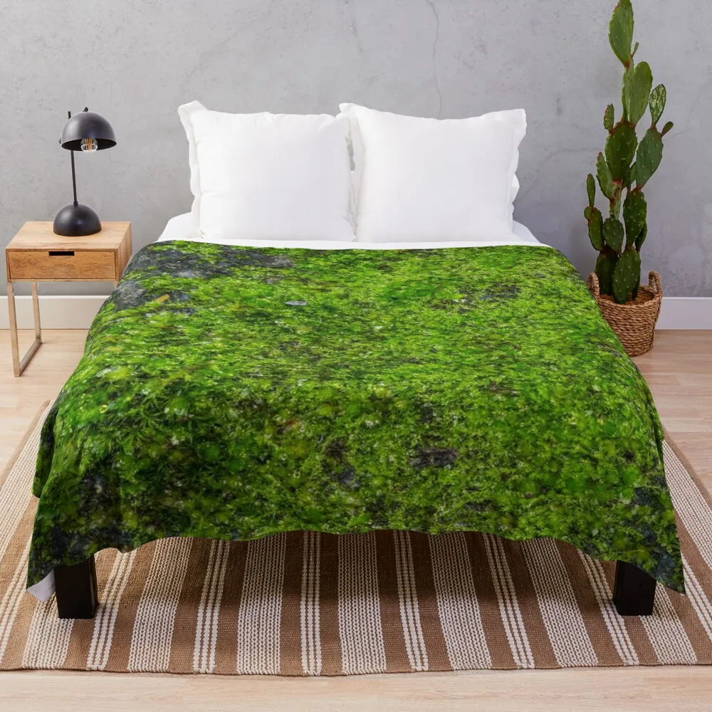 

Роскошное утолщенное одеяло World of Moss V