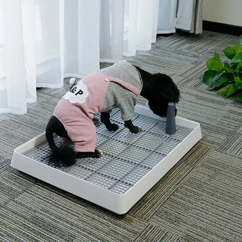 Дешево Дрессировочный туалет для маленьких собак и кошек, портативный туалет для дрессировки собак и щенков, поднос-держатель, товары для домашних... Продажа Дрессировочный туалет для маленьких собак и кошек, портативный туалет для дрессировки собак и щенков, поднос-держатель, товары для домашних...