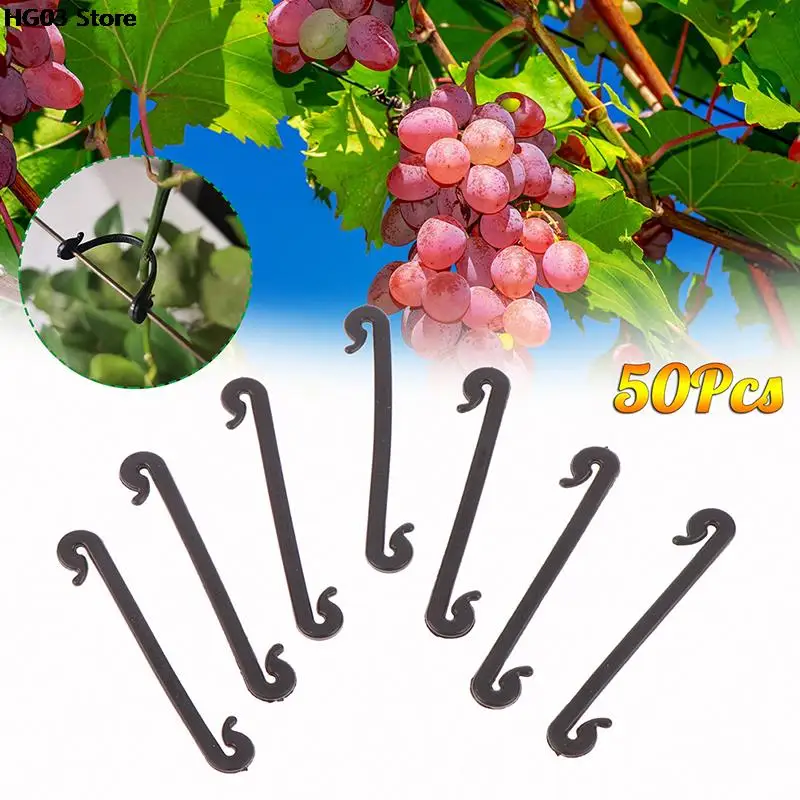 

50PCS Garden Plants Vines Fixed Clips Tied Buckles Lashing Hook for Kiwi Grape Cucumber Tomato Stems Fastener Gadgets Grafting