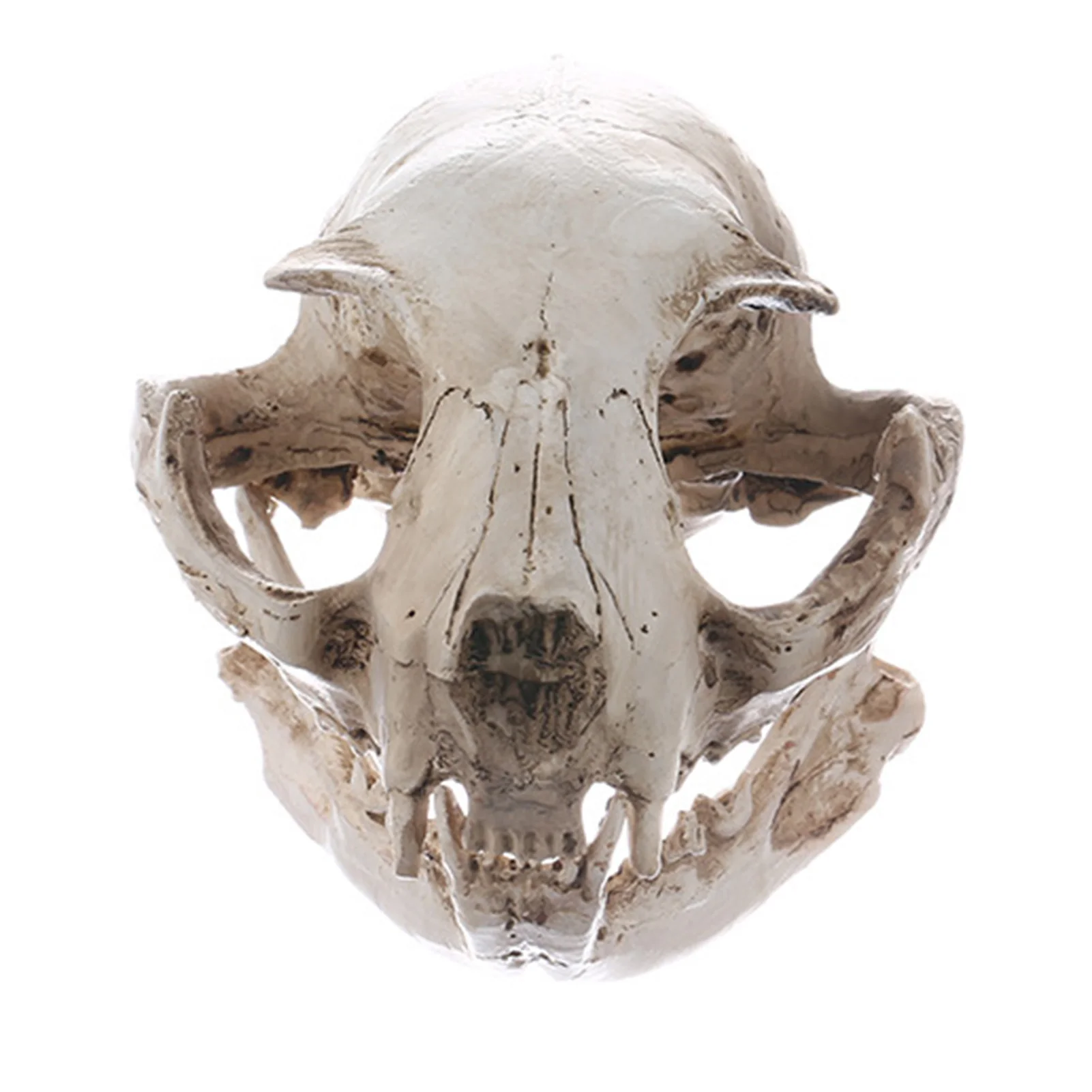 

Halloween Decor Fake Animal Skull Animal Head Skeleton Decor for Party Feast Restaurant Tabletop