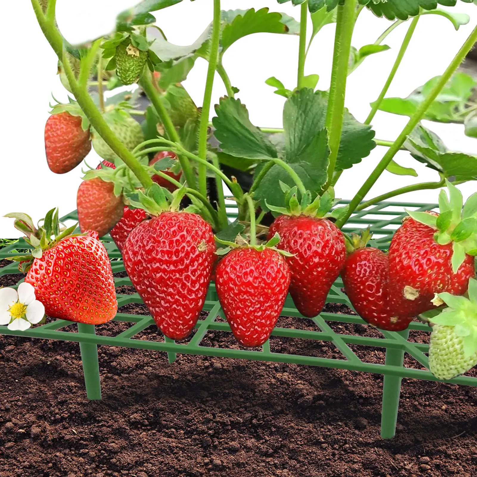 

Strawberry Stand Plant Flower Climbing Vine Pillar Garden Stand Balcony Vegetable Fruit Stand Family Gardening DIY Tool Supply
