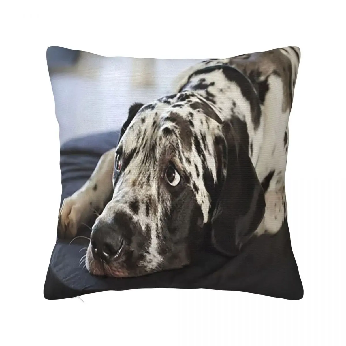 

Great Dane Pillowcase Printed Polyester Cushion Cover Decorative Animal Throw Pillow Case Cover Sofa Zippered 45*45cm