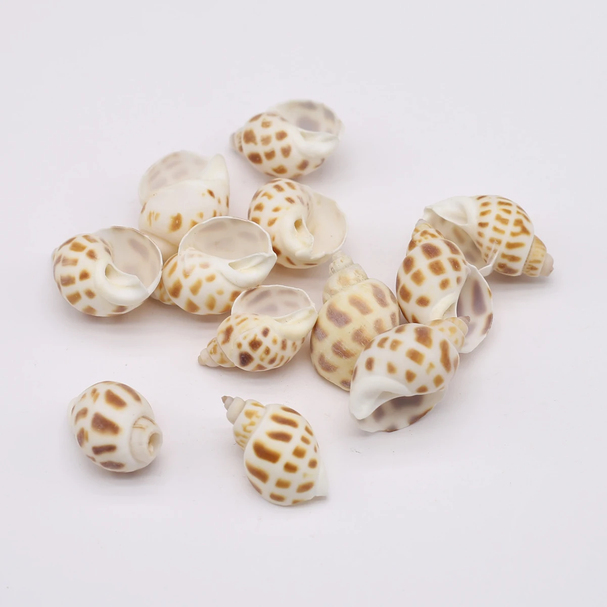 Natural Shell Beads No Hole Sea Yellow Decor Snail Charms for Jewelry Making Necklace Bracelet Gift Ornament
