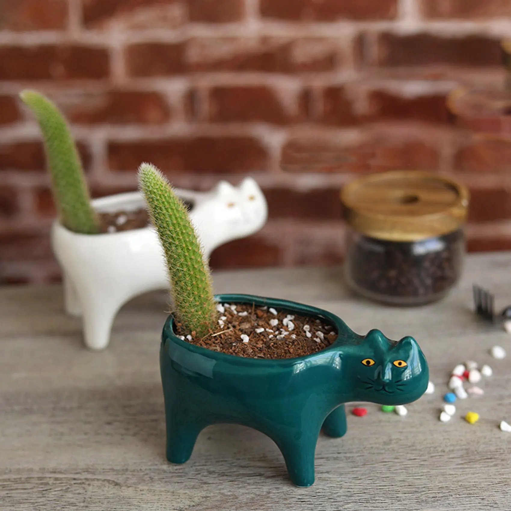 

Керамический горшок с изображением милой кошки для сада, цветов, животных, кактусов, растений, суккулентов, контейнер для растений, настольное украшение, белый
