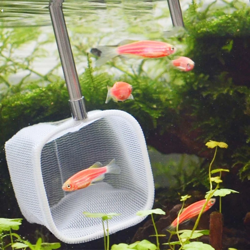 

Aquarium Retractable 3D Stainless Steel Fishnet Pocket Shrimp Catching Fish Tank