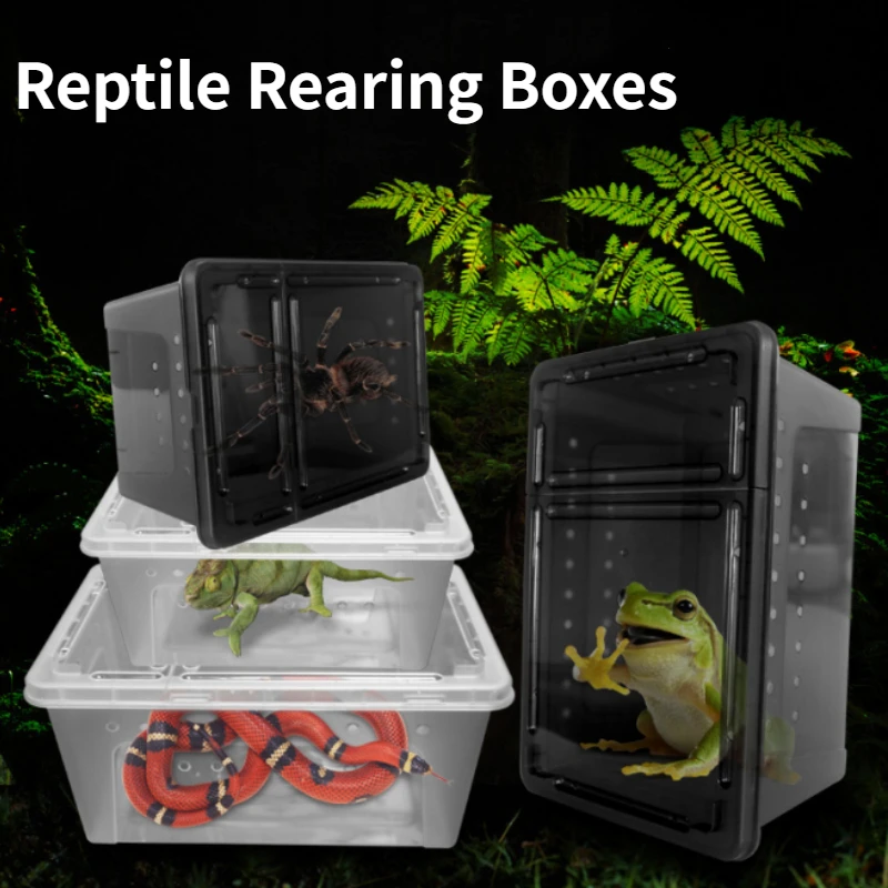 

3pcs Reptile Feeding Box Transparent Rearing Box Snake Turtle Lizard Spider Hatching Container Habitats Reptile Transport