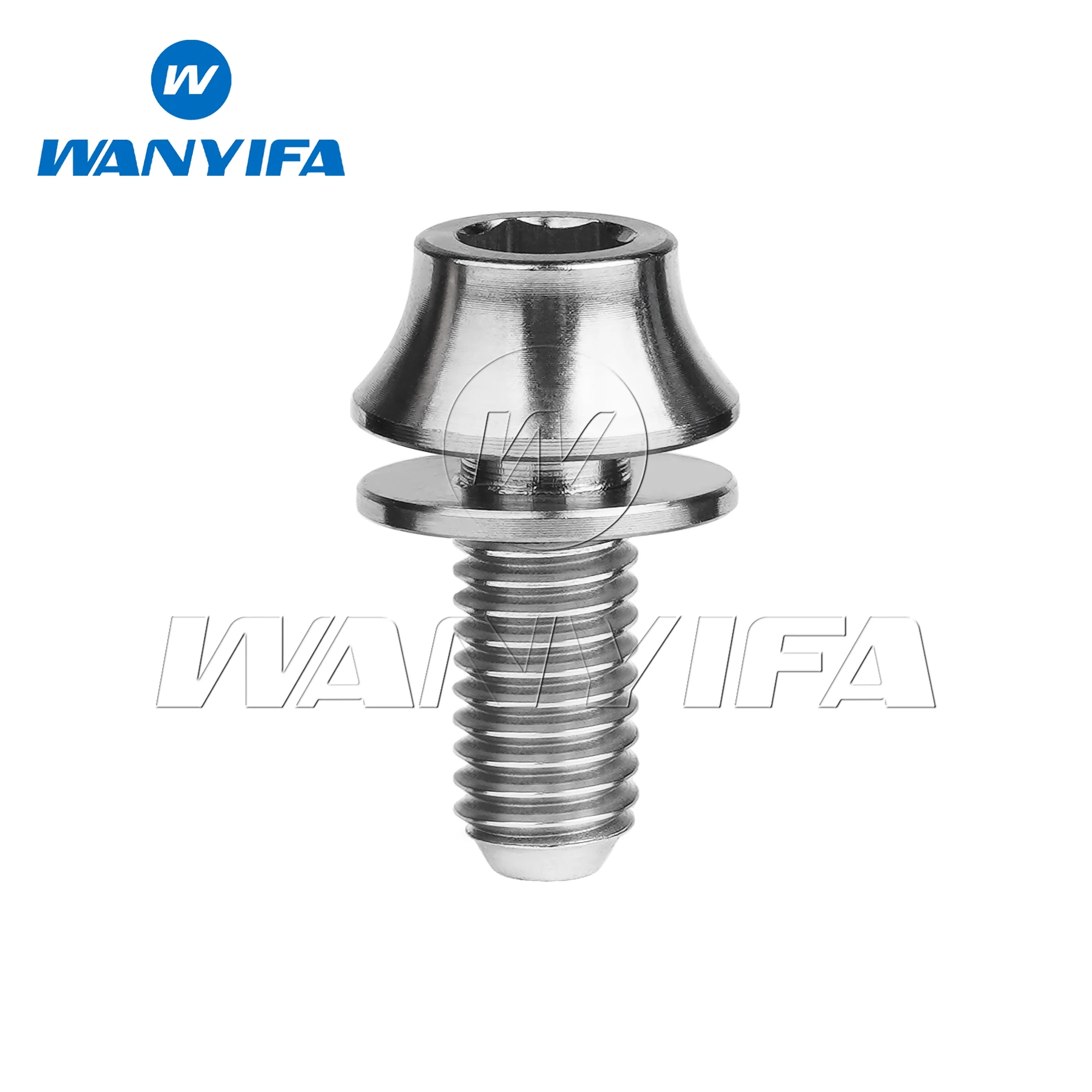 

Титановые болты Wanyifa Ti M5x12 мм