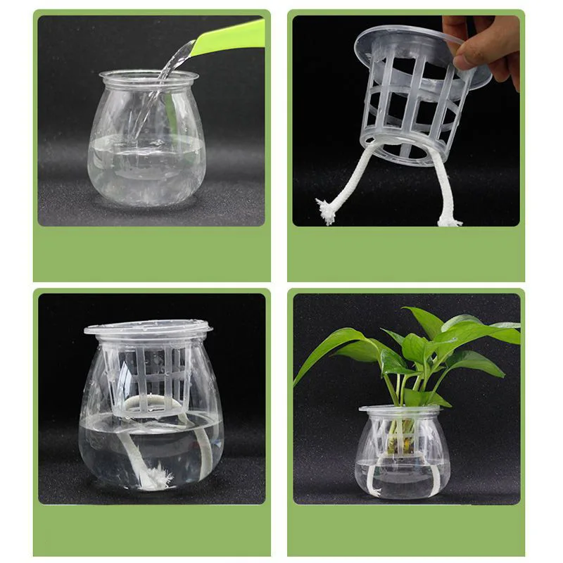50pcs Hydroponic Soilless Mesh Net basket Plant veg Grow Nursery Cup Pot Sponge tray Aeroponic Veg Planter Clone Colonization q1 images - 6