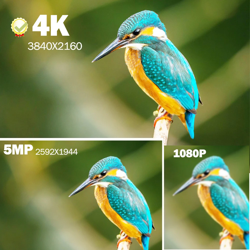 8MP 4K IP-камера Открытый WiFi 360° Видеонаблюдение 5MP Security CCTV Cam AI Tracking HD PTZ Onvif H.265 iCSee APP