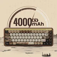 Беспроводная механическая клавиатура Akko Mountain Seclusion 2#5