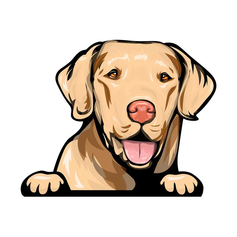 

Светоотражающая лента для стайлинга автомобилей и ноутбуков