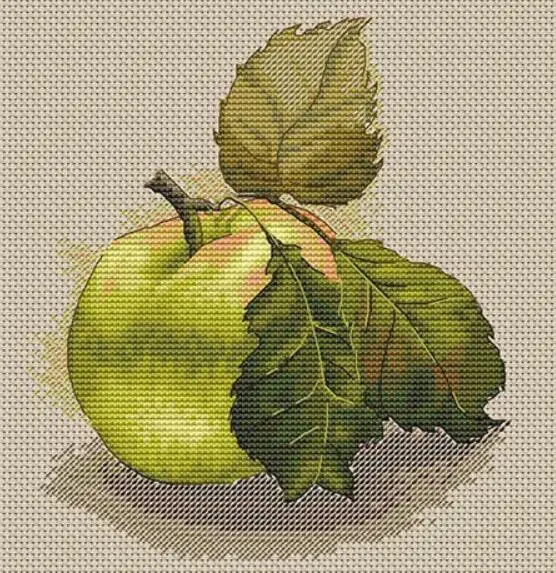 вышитые яблоки. вышивка крестиком яблоко. вышивка яблоко гладью. вышивание крестиком яблоко. схема вышивки яблоко.