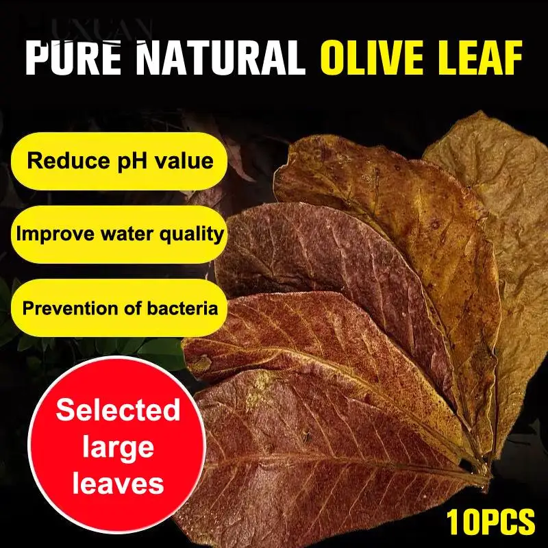 

Natural Terminalia Catappa Leaves Aquarium Decoration Fish Tank Cleaning Tools