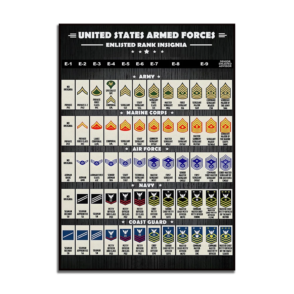 

Настенный плакат значки рангов ВС США ReachMani