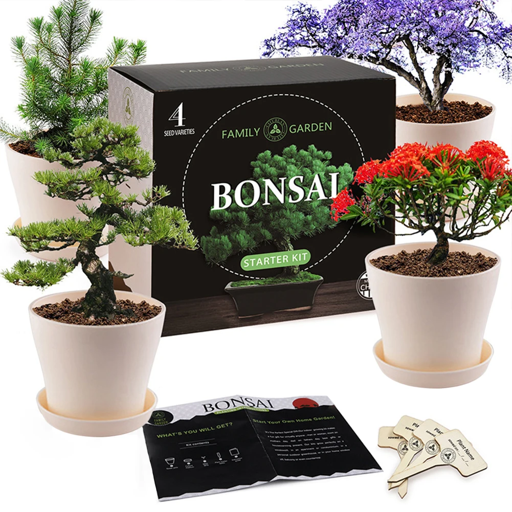 

Germination Growing Plant DIY Crafts Drip Tray Pot Tool Gardening Starter Indoor Adult Gifts Bonsai Tree Kit Kids