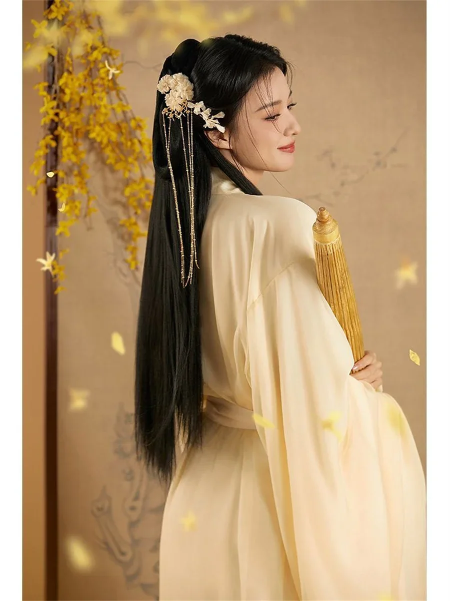 WeiJin-Robe Hanfu Traditionnelle Alberoise pour Femme Vêtements Rétro de Scene Костюмы variPrincesse Косплей