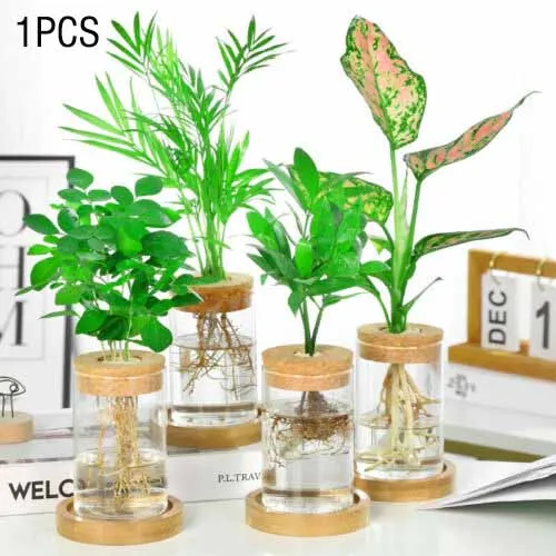 

Transparent Hydroponic Flower Pot Imitation Glass Soilless Planting Potted Green Plant Resin Flower Pot Wooden Bonsai Vase Decor
