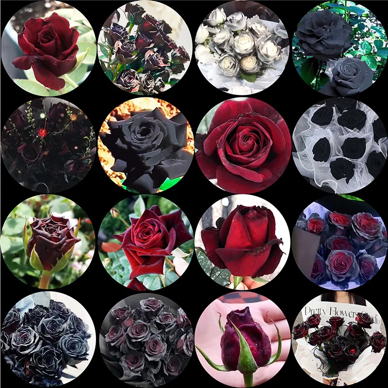 

Fltmrh 6 мм, 8 мм, 10 мм и 12 мм, 20 мм, 25 мм, черные, фиолетовые, красные розы, круглые стеклянные кабошоны с плоской задней поверхностью, рельефные Фото аксессуары «сделай сам»