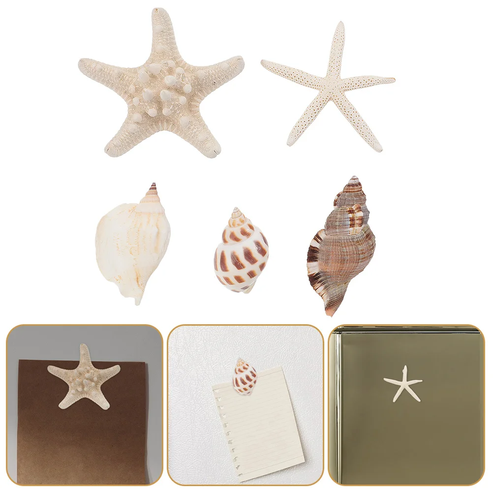 

5 Pcs Ocean Stickers Shell Magnets Refrigerator Crafts Fridge Conch Decorative Home Kitchen Sea Themed