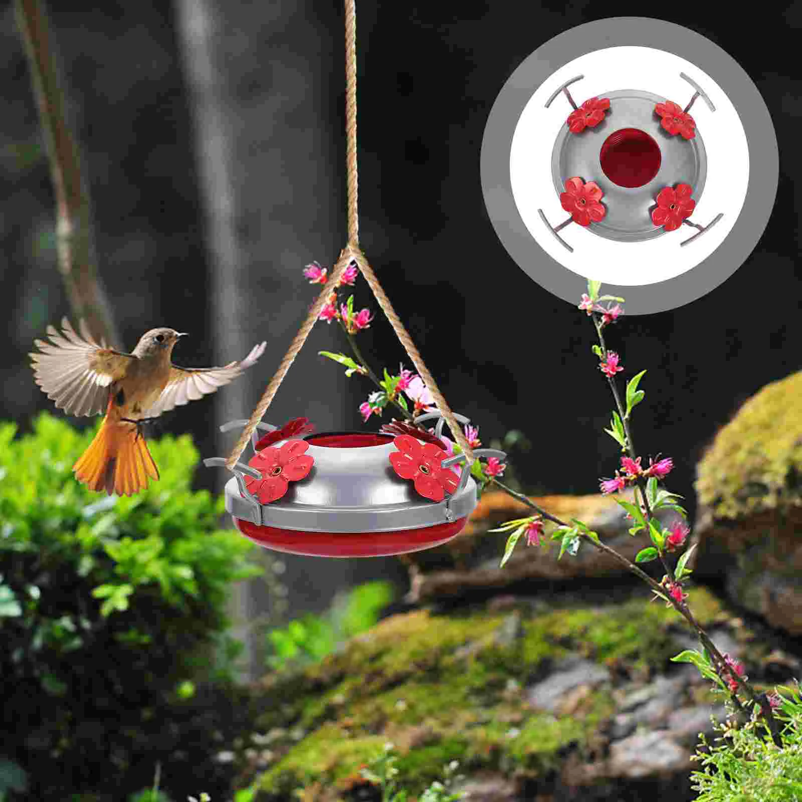 

Feeder Hummingbird Bird Parts Bottom Base Replacement Feeders Bowl Feeding Water Flowerhanging Accessories Waterer Garden