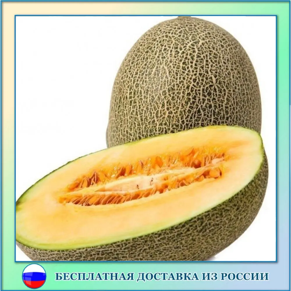 Сорт луна дыня. Дыня луна. Дыня сорта рыжик-5м. Дыня алиса f1 аэлита. Издательство delibri.