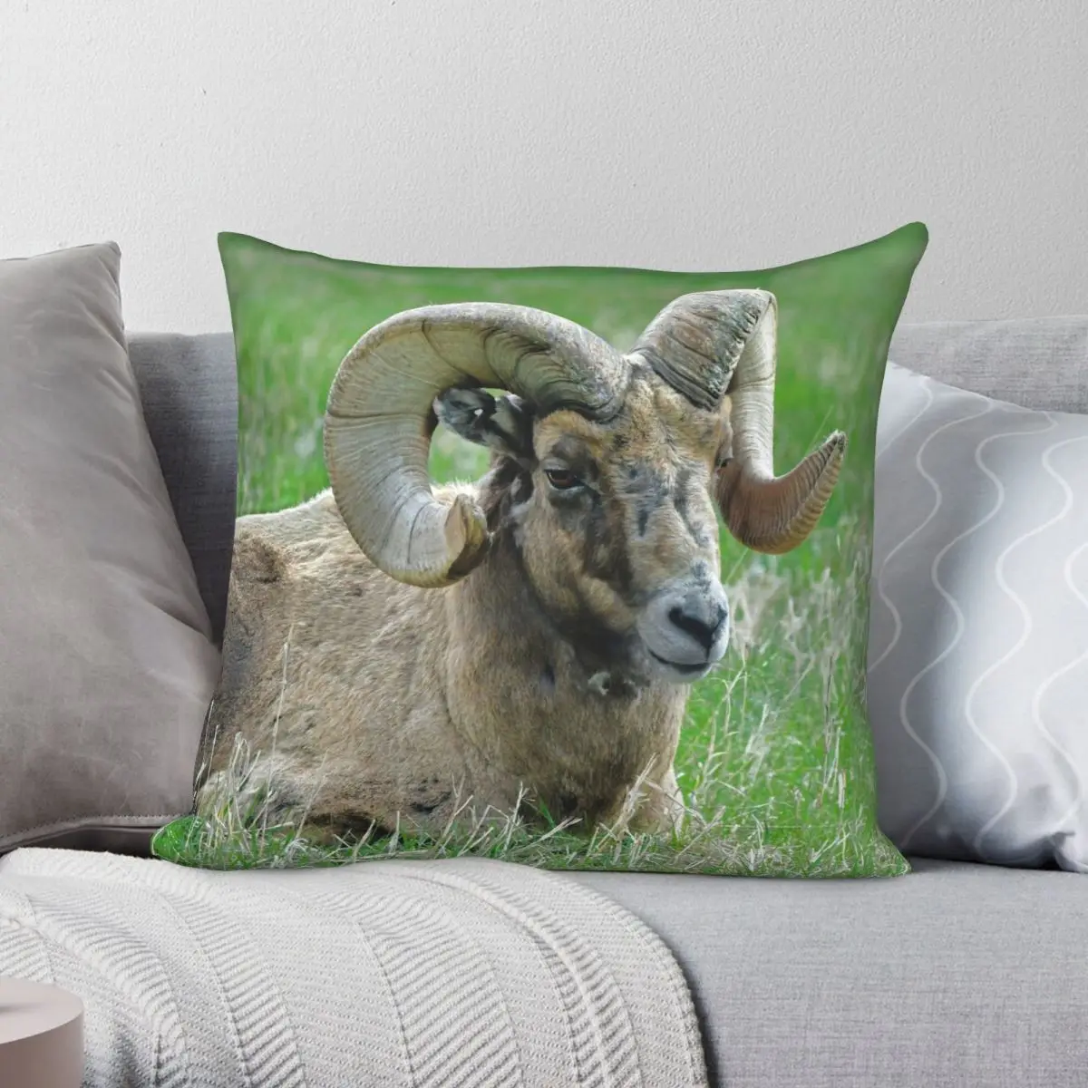 Big Horn Sheep Portrait Pillowcase Polyester Linen Velvet Printed Zip Decor Sofa Seater Cushion Cover