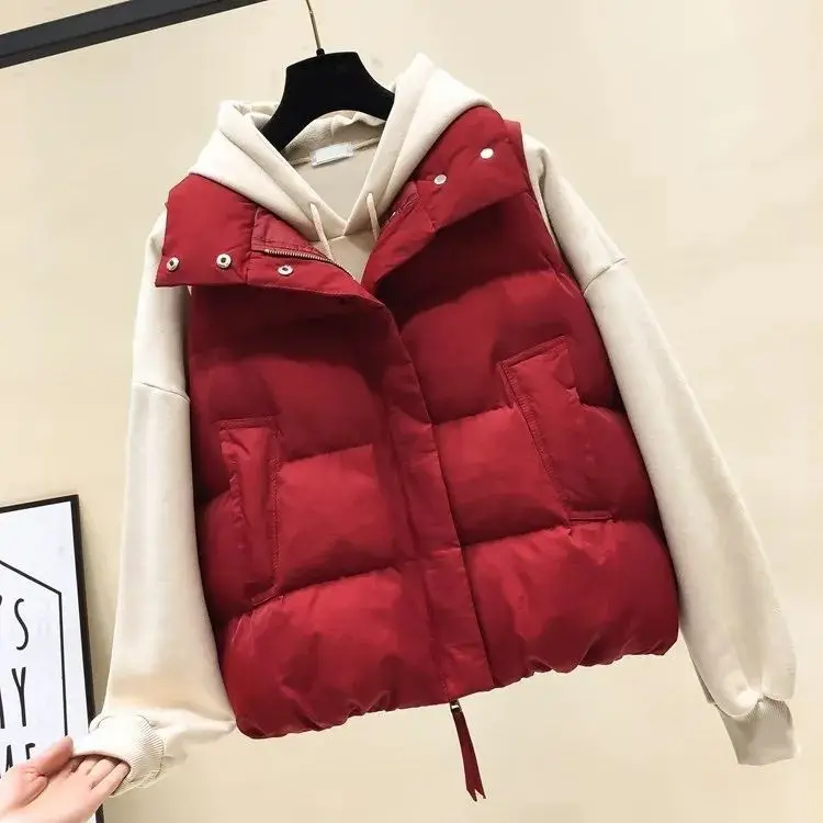 

Женская теплая куртка-пуховик без рукавов, с хлопковой подкладкой и карманами, ветрозащитная куртка на осень и зиму, L01