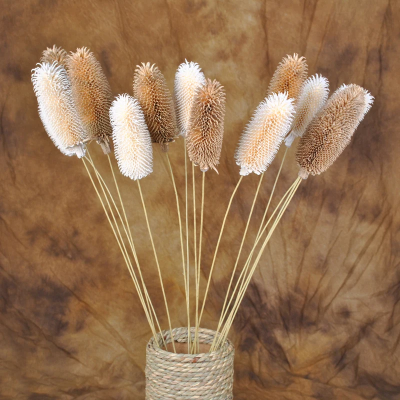 

6 шт. декоративные сушеные цветы, сушеные фруктовые растения, цветы, ветки, праздничное украшение «сделай сам», домашние аксессуары ручной р...