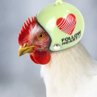 cute pet chicken helmet small pet poultry bird duck headgear hat caps head protector bird head helmet pet supplies new arrival