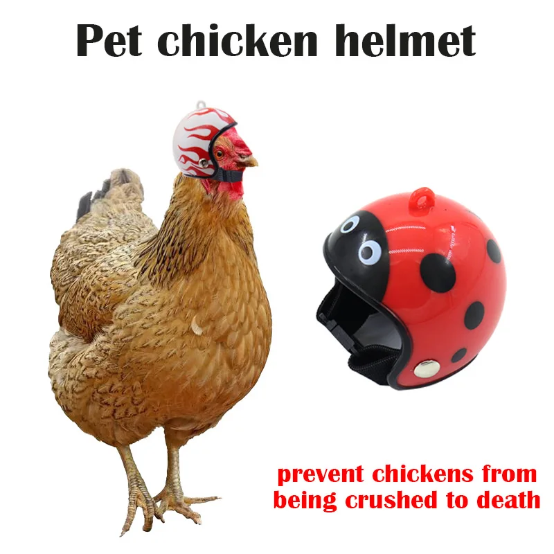 

Helmet Chicken Pet Supplies Funny Helmet Chicken Hat Chicken Helmet Protection Pet Chicken Head Cover