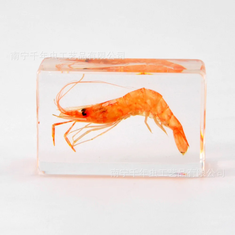 

Фигурка морских организмов из смолы